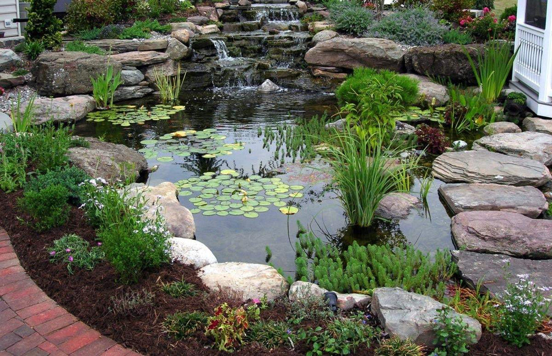  Pond and Waterfall Filters