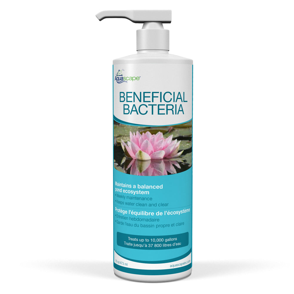 Beneficial Bacteria