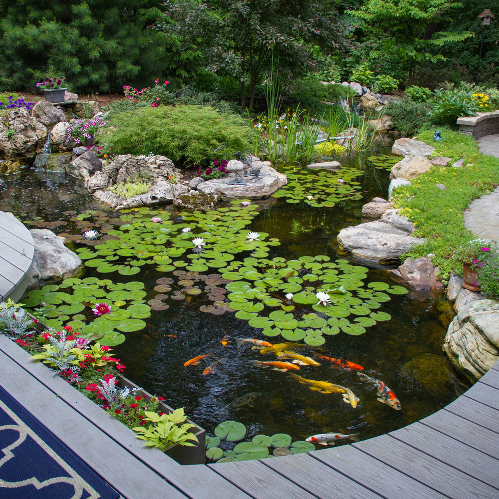 Aquascape Large Pond Kit 21' X 26' with 9-PL 7000 Solids-Handling Pump