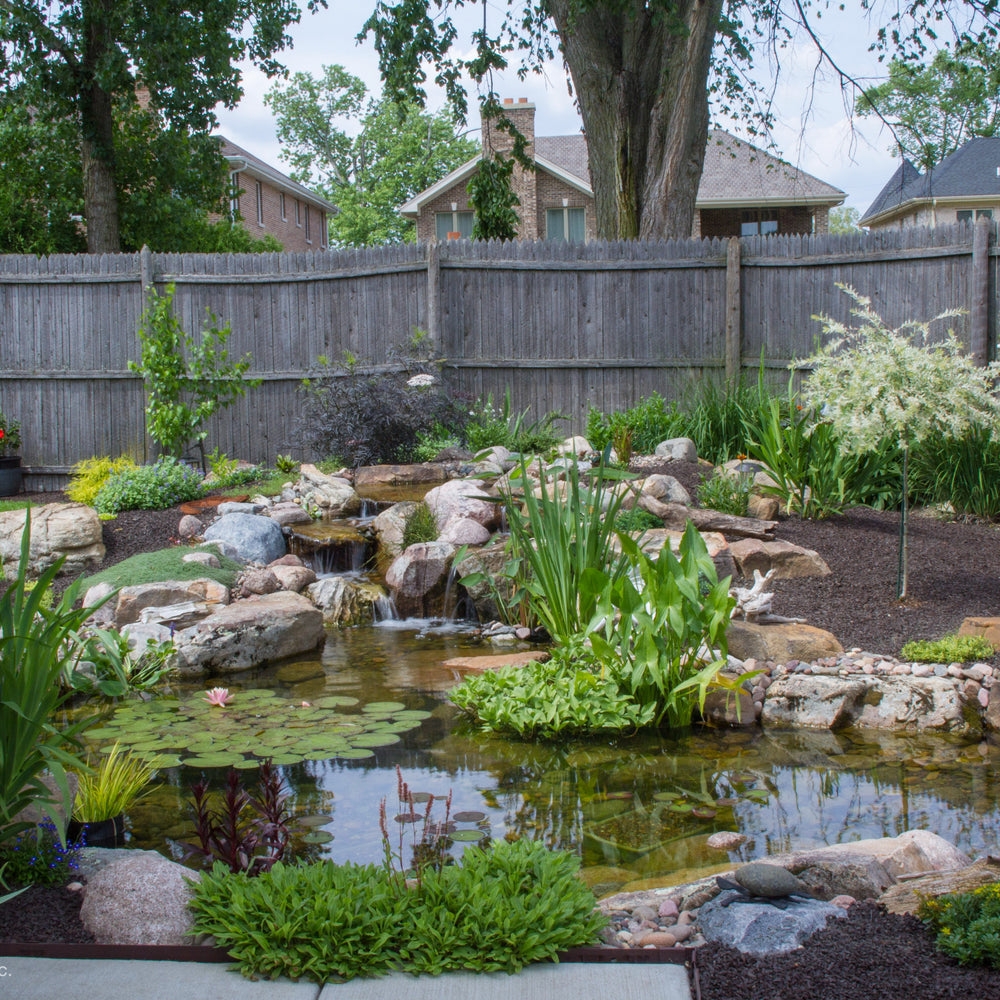 Medium Pond Kit 11' X 16' With AquaSurge® 2000-4000 Pump - Aquascape