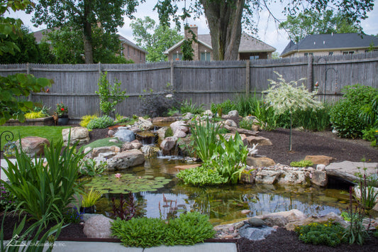 Medium Pond Kit 11' X 16' With AquaSurge® 2000-4000 Pump - Aquascape
