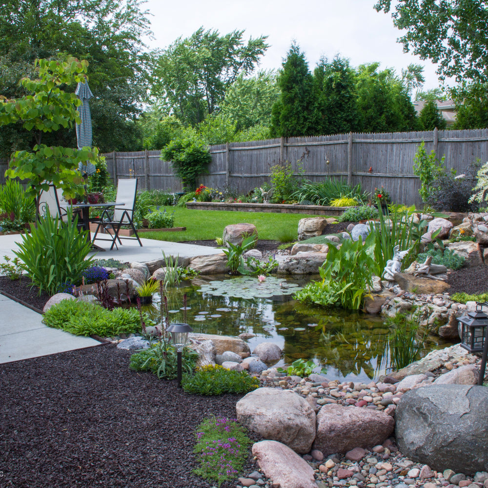 A nice pond