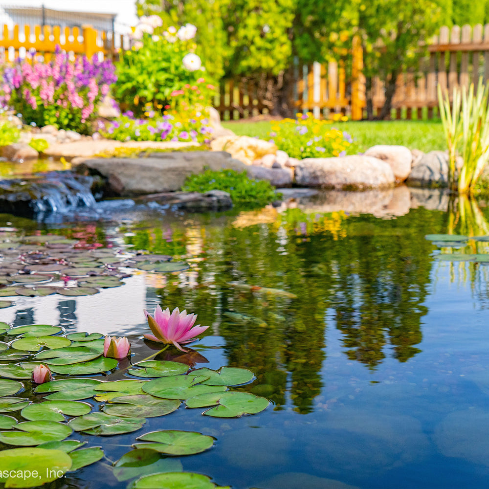 Aquascape Large Deluxe Pond Kit 21' X 26' with AquaSurge 4000-8000