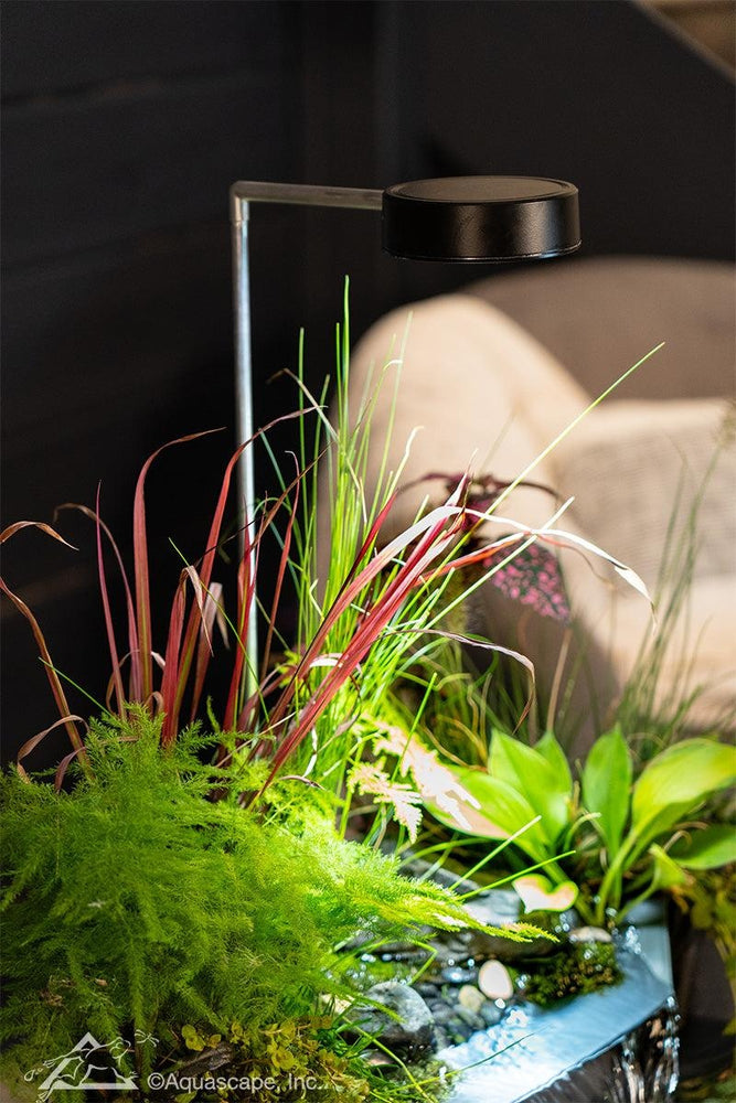 AquaGarden Mini Pond Kit with the AquaGarden Plant Light,
