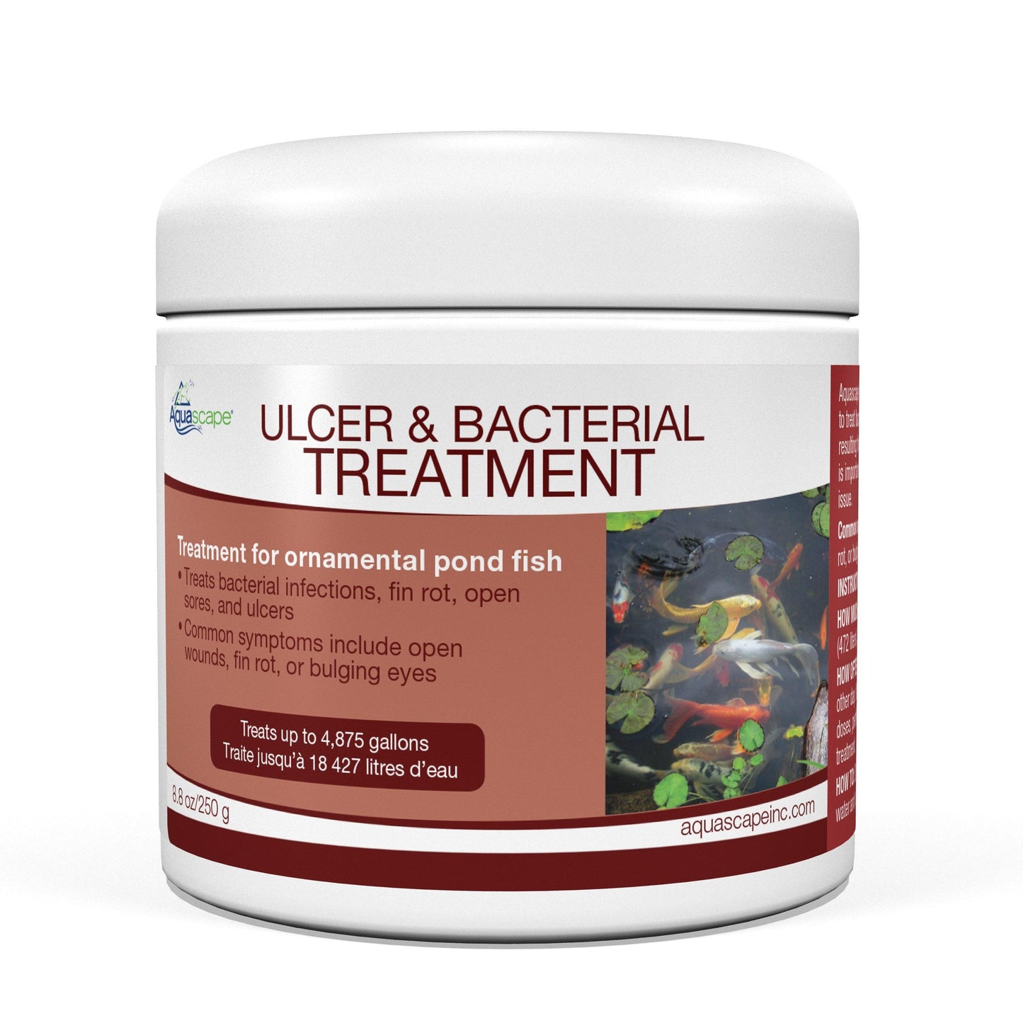 Ulcer & Bacterial Treatment Front