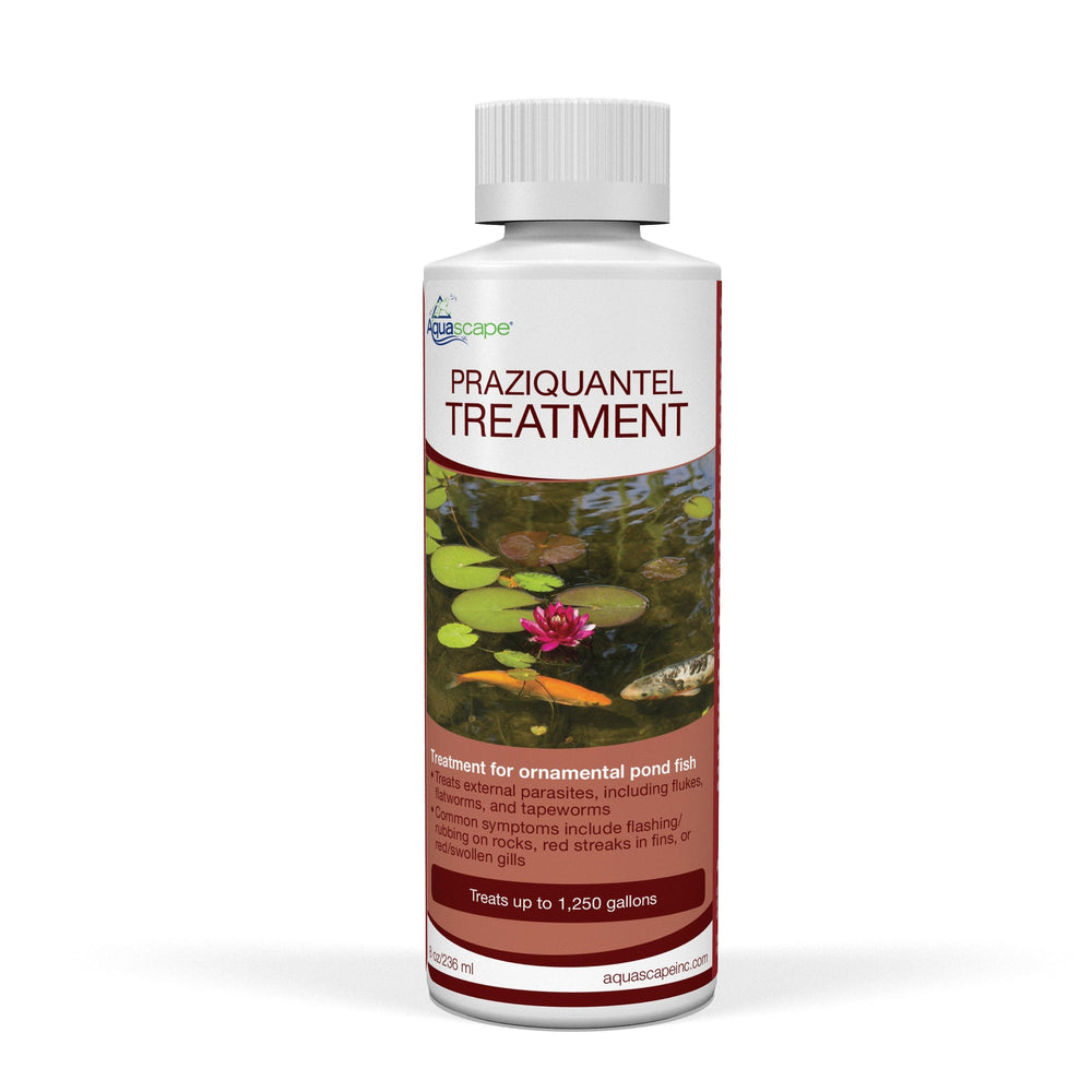 Aquascape Praziquantel Treatment