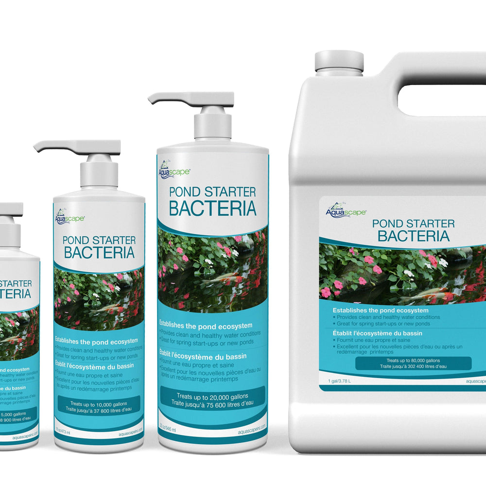 Aquascape Pond Starter Bacteria Group