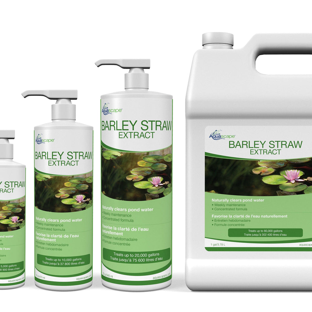 Barley Straw Extract - Aquascape 