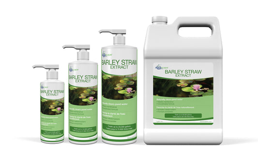 Barley Straw Extract - Aquascape 