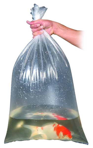 Fish Bags 8" x 15" (Case of 100)