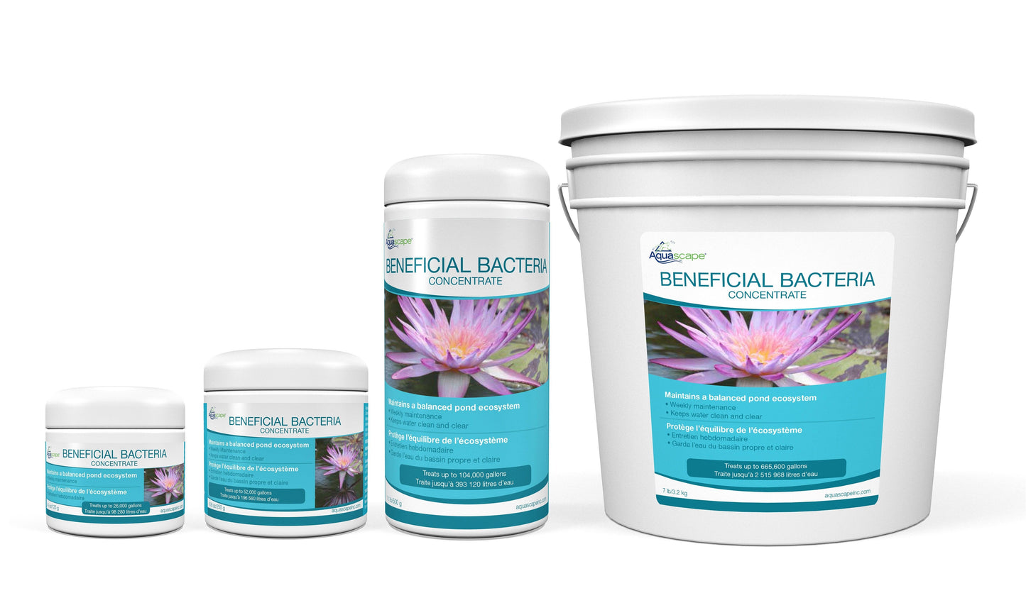Aquascape Dry Beneficial Bacteria Concentrate