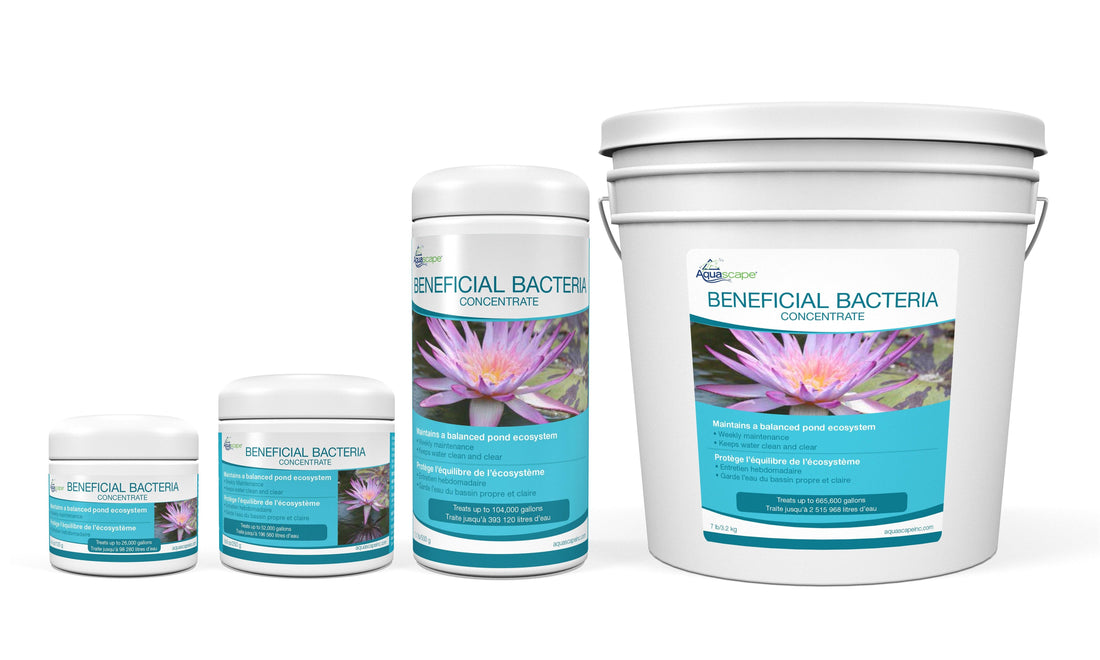  Beneficial Bacteria Concentrate Dry