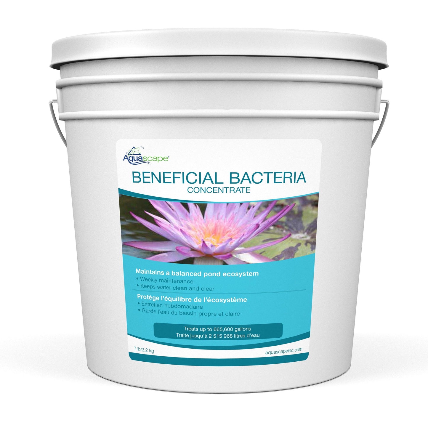 Aquascape Dry Beneficial Bacteria Concentrate