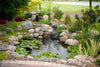 Aquascape DIY Backyard Pond Kit Pond
